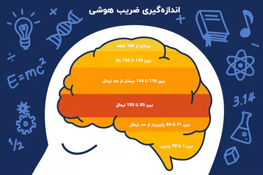 ضریب هوشی