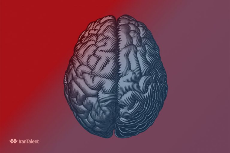 تست هوش ریون چیست و چه کاربردی دارد؟